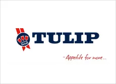 tulip1606474963